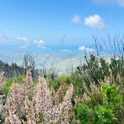 ... als Maffia) 🤪🙈