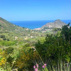 Mit Aussichten aufs Meer zur einen...