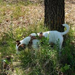 Statt Stress zu machen, sucht sich Quentin einfach Louies verstecktes Teil 🤩