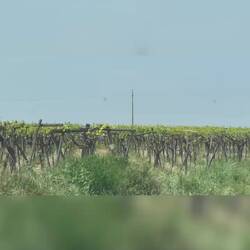 Süditalien-Vibes von unterwegs 🇮🇹