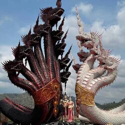 Black Naga v White Naga