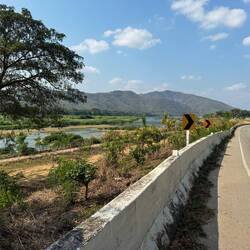 Road with river views