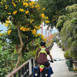 Cycle path by the river