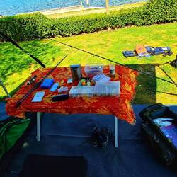 Die Waffen sind gewählt