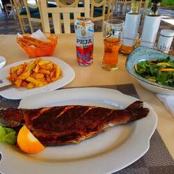 Das war die beste Forelle die ich jemals gegessen habe..