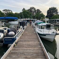 Seven C-Dorys here now. (And a couple other boats we are sharing the guest dock with.)