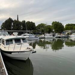 Seven C-Dorys here now. (And a couple other boats we are sharing the guest dock with.)