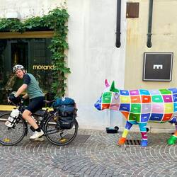 Je me fais courser par une vache en plein centre ville !