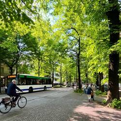 Les rues agréables de Mestre en ce samedi matin