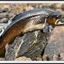 Ach ja, Angeln war ich auch noch...🤩