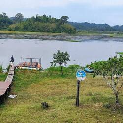 Crocodile Lake