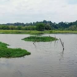 Crocodile Lake