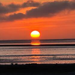 ...on the Beach 🌅