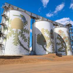 Silo Art in Ravensthorpe