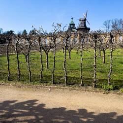 Obstbäume im Vordergrund, die Neuen Kammern und die Mühle im Hintergrund