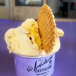 Gelateria #5 ... La Sorbetteria Castiglione — Bologna, Italy.