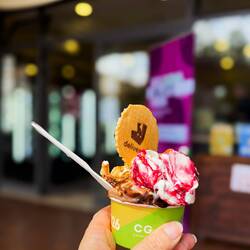 Gelateria #3 ... Cremeria da Paolo — Bologna, Italy.