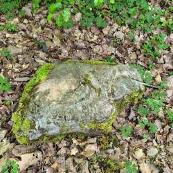 Original old bag of cement,left over from WW1