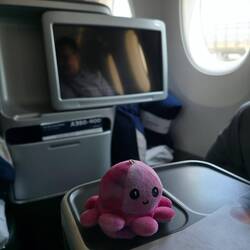 Pups ist auch on tour