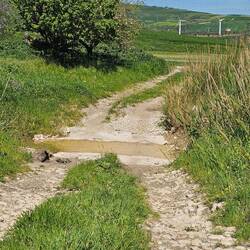 The first creek crossing