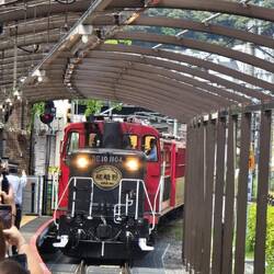Romantic Train