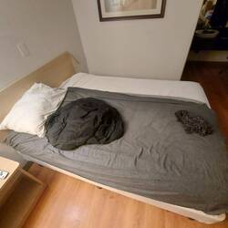 Mein Spannbettuch mußte sich opfern.