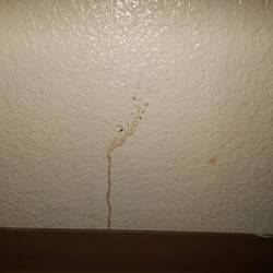 Ich hoffe es war nur Nasenbluten.