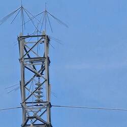 These pokey things keep storks from nesting here.