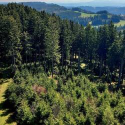 Aussicht II