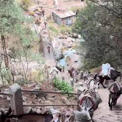 Embouteillages! 🚦