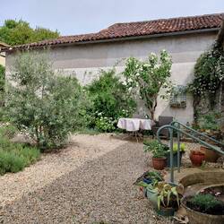 The beautiful back courtyard