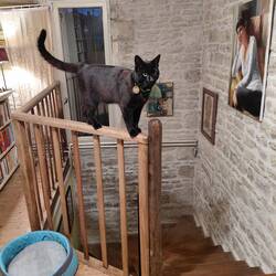 And having a 'crazy time' on the stair rail!