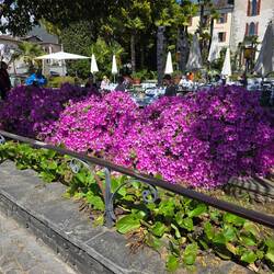 Ascona