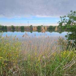 Am Ebro in Tudela