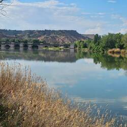 Immerhin....eine schöne Brücke am Ebro in Tudela