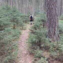 ...auch noch einen trockenen Nebenweg😉