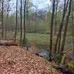 Frühstückspause🎥