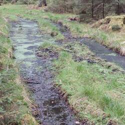 Gott sei Dank gab es...