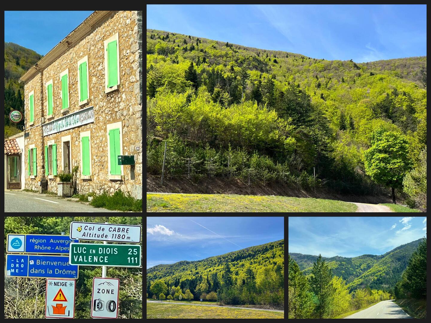 Heute alles in frischem Grün