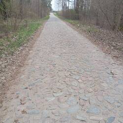 Altes Kopfsteinplaster