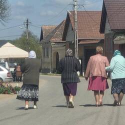 They took up the whole width of the road, turned and smiled at us in the car and continued walking.