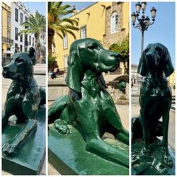 Wachhunde der Kathedrale