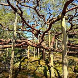 That's proper support