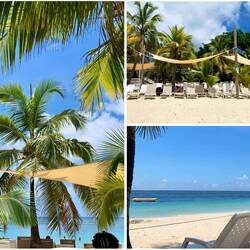 Unser Beachclub
