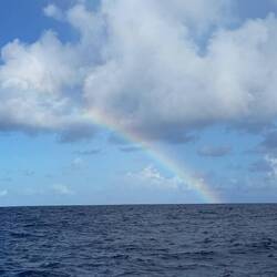 manchmal mit Regenbogen