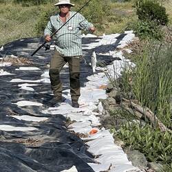 And another Striper.