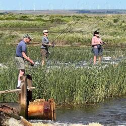 Jim, Laurel and Stacey
