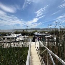 Us first four boats tied and rafted up to the Duck Club dock.