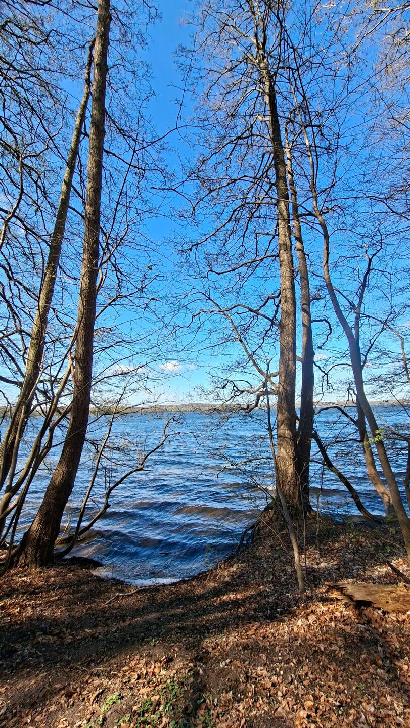Intensives Blau - Behler See
