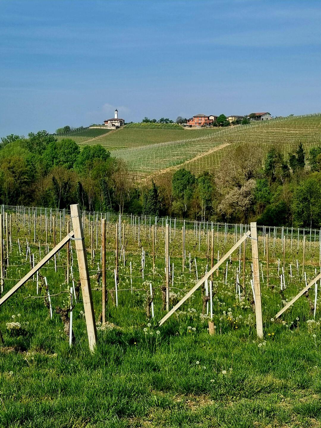 Wir starten direkt vom Camping auf unsere Weinwanderung...
